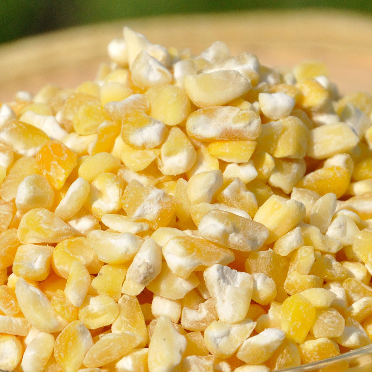 碴子东北农家玉米大粘苞米五谷杂粮1斤1袋5袋玉米