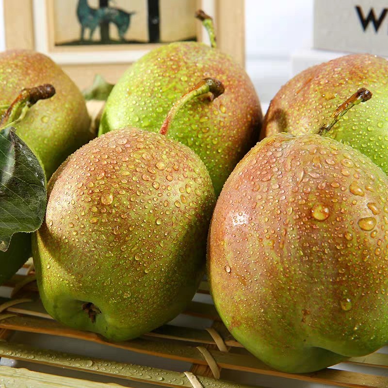 库尔勒香梨升级版本新梨七号媚梨脆甜梨