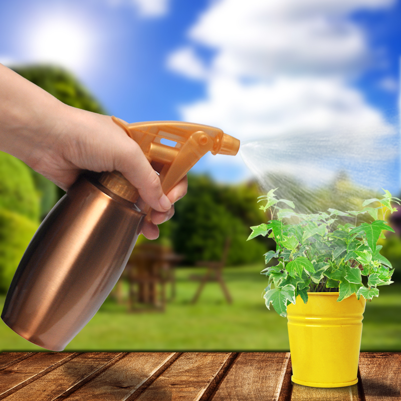水壶喷壶浇花家用园艺小型洒水不锈钢美发加湿洒水