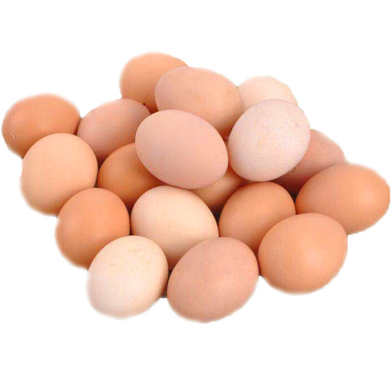 土鸡蛋农家散养新鲜30枚 当天草鸡蛋笨柴鸡蛋60鲜蛋农村土鸡蛋