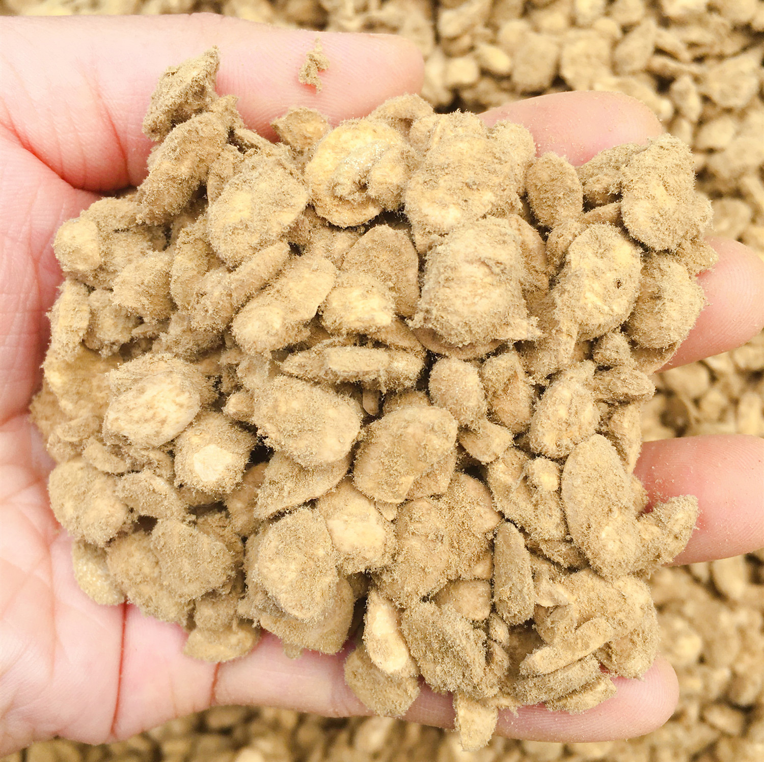 豆瓣5斤郫县四川豌豆胡豆瓣装熟蒸熟包邮发酵其它