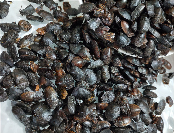 中药材云南九香500克包邮兜虫瓜黑屁板屁巴其他药食同源食品