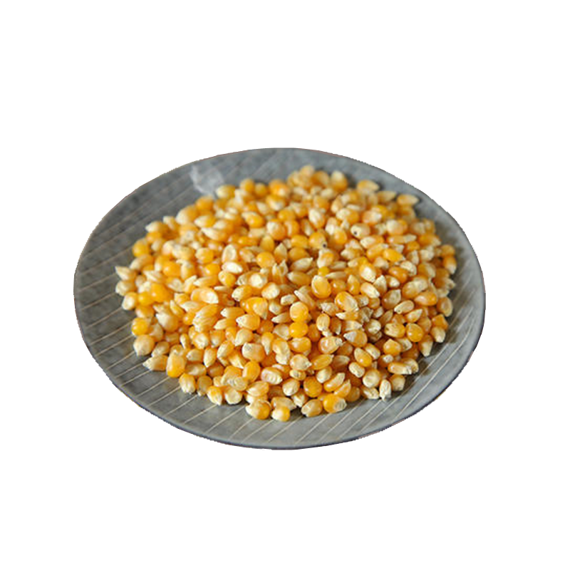 圆粒小玉米 corn grain 爆米花用玉米粒 popcorn - 阿明穆斯林商行