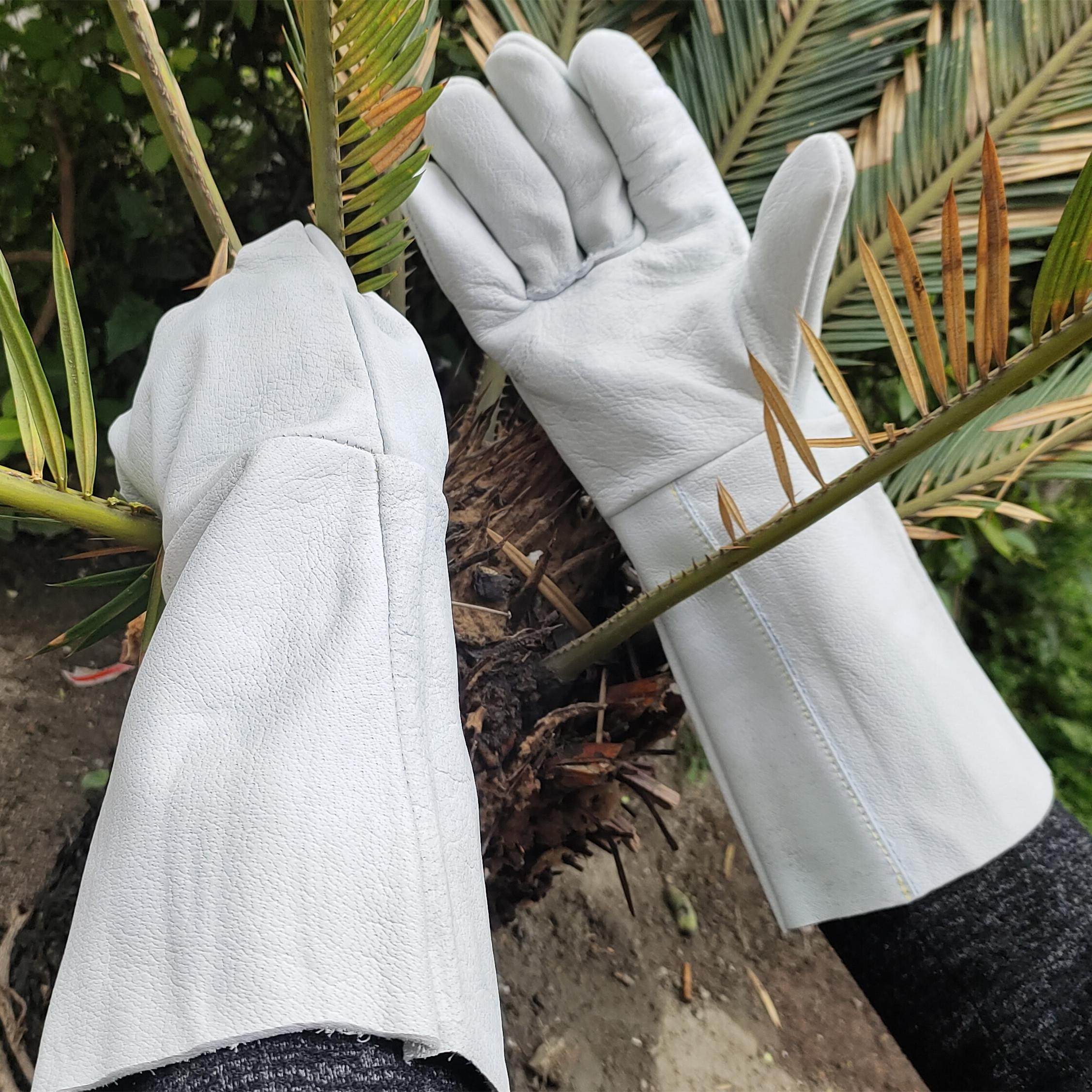 手套摘捡剥刺板栗仙人掌月季玫瑰花园艺防刺摘花防护手套