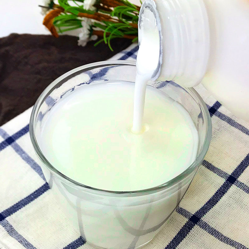 专用优酪优格乳奶茶店奶茶优益益多浓缩乳酸菌酸奶