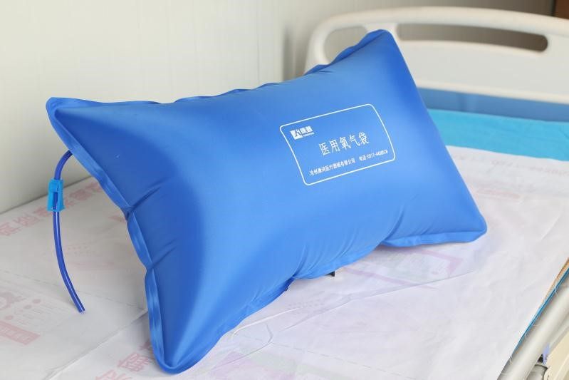 氧气袋家用便携式大容量医用急救吸氧储氧枕孕妇老人氧气包/瓶42l