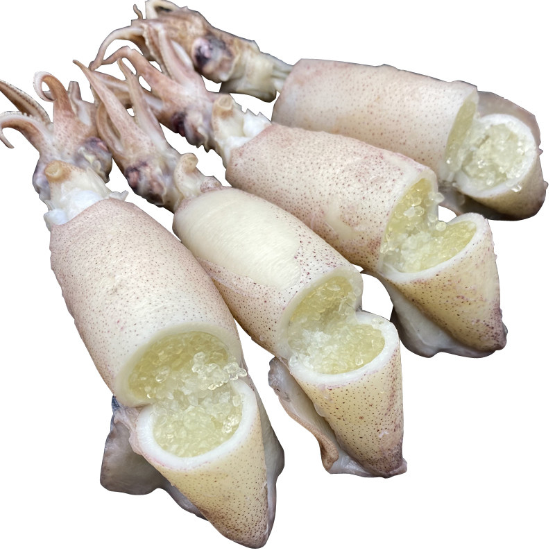 一盒15斤纯籽籽乌熟冻笔管墨斗鱼乌贼海兔海鲜冷冻墨鱼