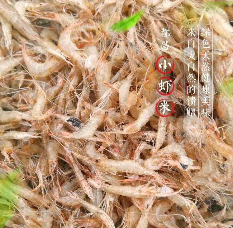 江西鄱阳湖特产干虾青虾干都昌原生态干货淡水野生小河虾干500g