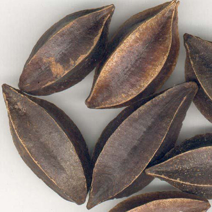 中药材新货无硫 使君子 精选优质留求子 五棱子 冬均子 500克