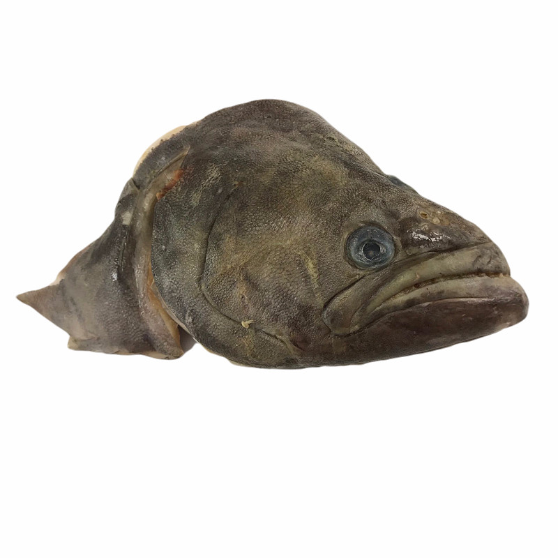鱼头鸦片新鲜深海超大海鲜水产鲜活比目比目鱼其它