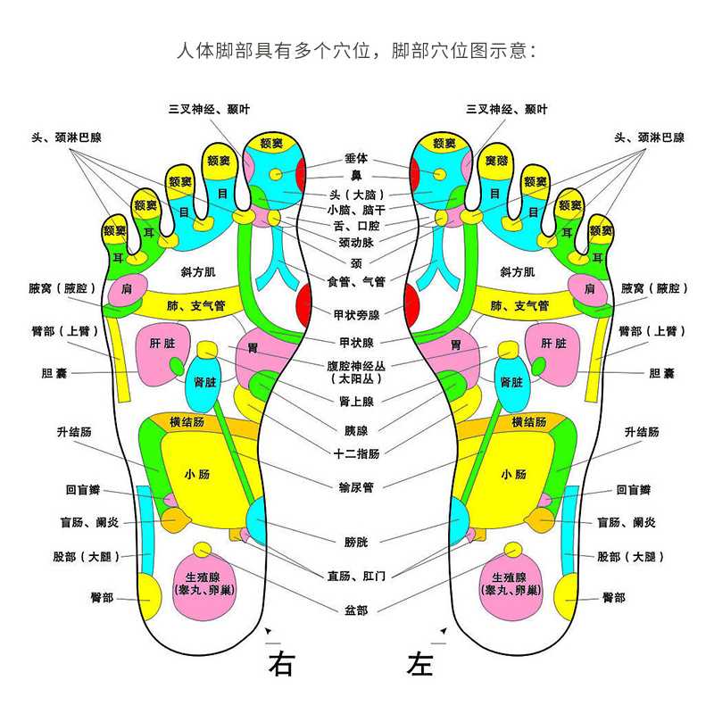 足部按摩图及解析图片