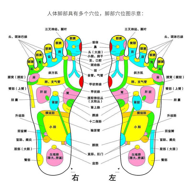 1发10包300份拍完即止泰国lanna足贴lanna脚贴足贴