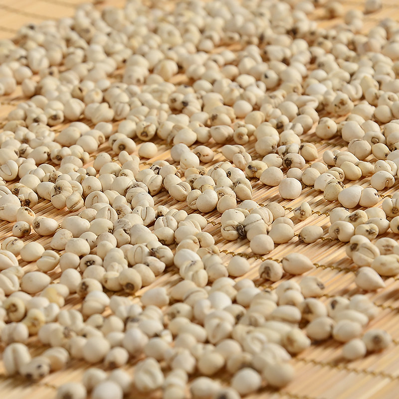 正宗100g磨粉贝无品松正品尖贝米贝四川中药川贝