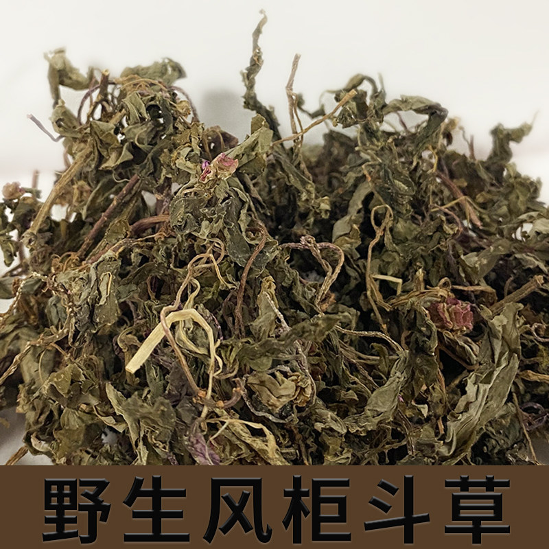 野生风柜斗特级干品正宗福建深山山风鼓草风谷其他药食同源食品