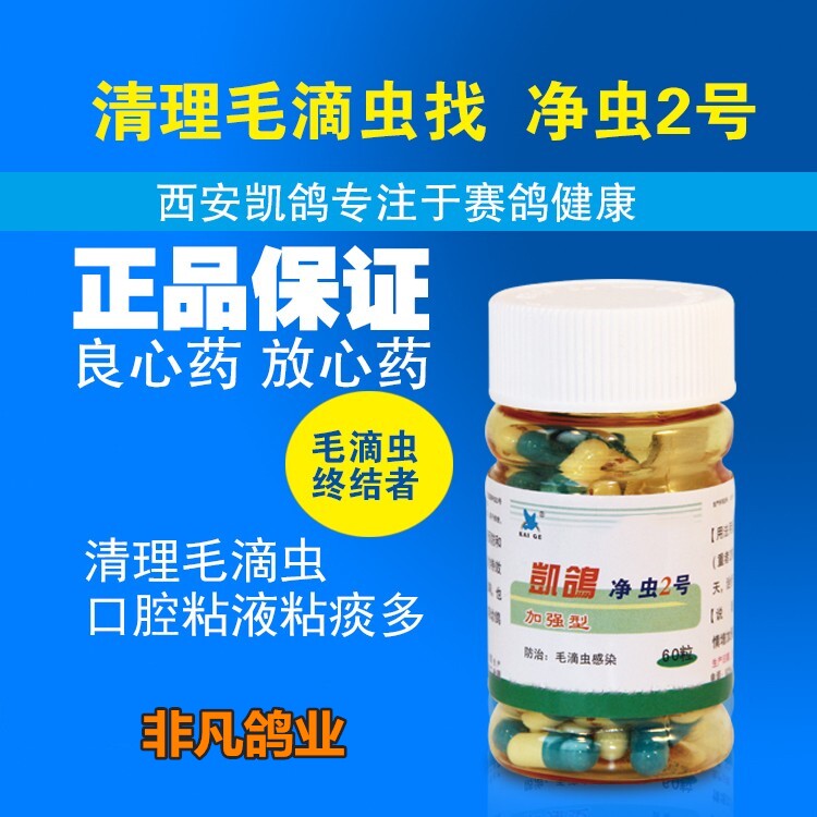 凯鸽净虫鸽药2号毛滴虫鞭毛毛虫二号鹦鹉观赏医疗用品