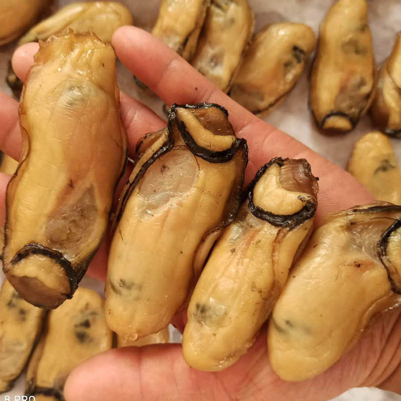 广东干货台山金蚝王1斤16个左右2020年新鲜晒制500克顺丰发货