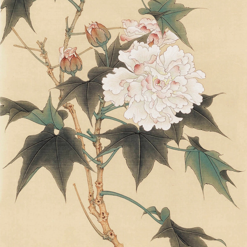 国画工笔打印白描底稿芙蓉花竖幅线稿初学者临摹国画