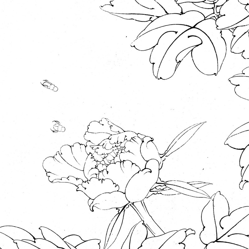 国画勾线练习临摹初学者花鸟斗方晓明工笔画李晓明国画