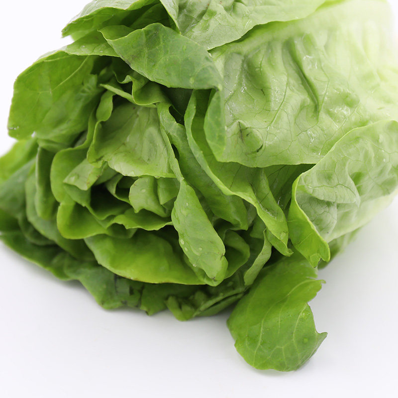 奶油生菜500g新鲜沙拉蔬菜色拉食材江浙沪任搭其它