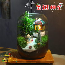 Christmas Safe Night Potted Creative Moss Microscape Indoor Tabletop Green Planting Office Inner Bonsai Companion Gift
