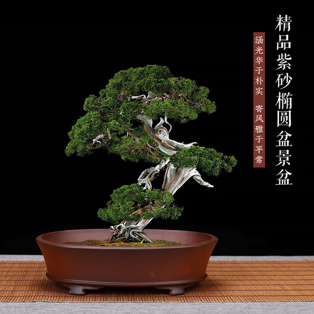 Fine antique trumpet quartet Yixing pots fleshy oval iris Desktop home gardening bonsai pots deals Fine antique trumpet quartet Yixing pots fleshy oval iris Desktop home gardening bonsai pots deals