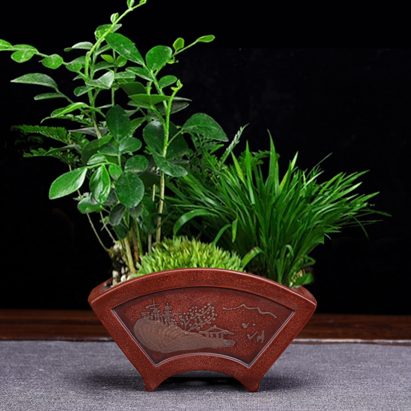 紫砂花盆精品小号四方桌面多肉植物菖蒲盆景花盆