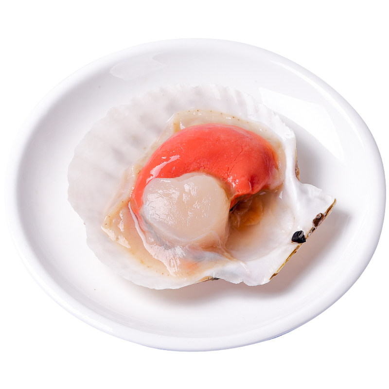 扇贝夏威夷大半壳贝1斤特大鲜活速冻青岛海鲜夏夷贝