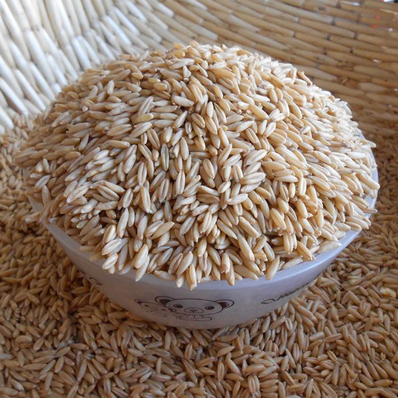 新货生燕麦米5斤包邮裸燕麦大麦散装农家自产燕麦仁五谷杂粮粗粮
