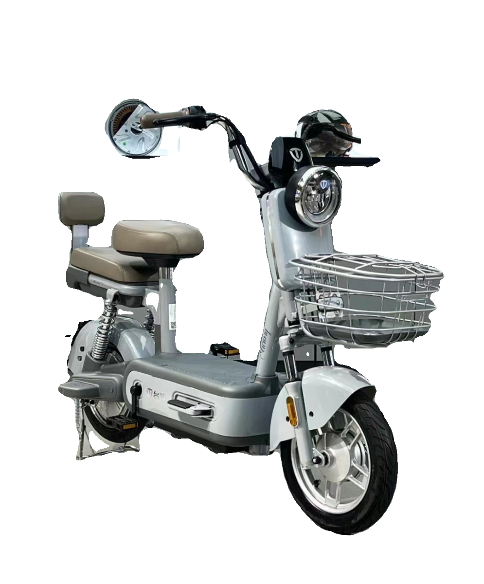 台铃电动车新款甜筒新国标智能刷卡大电池长续航成人小款型代步车