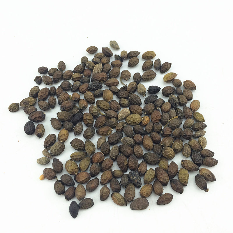 中药材鸦胆子牙胆子苦参子鸦蛋子鸭蛋子鸭胆子仁100g包邮