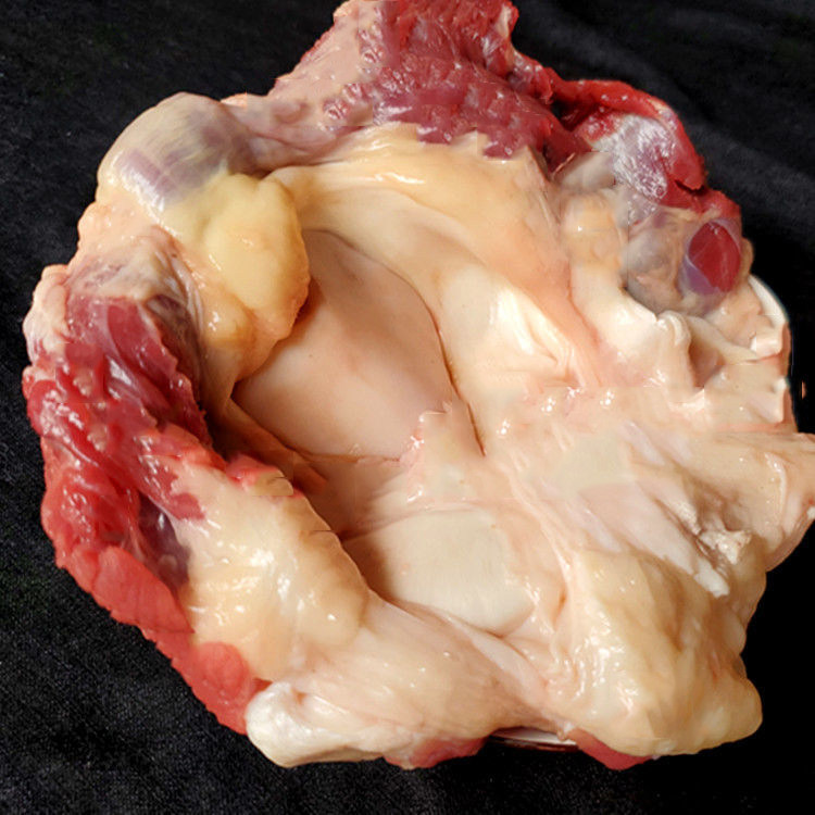 4斤生鲜顺丰包顺丰脆骨带筋牛窝膝盖骨肉牛冷冻其它