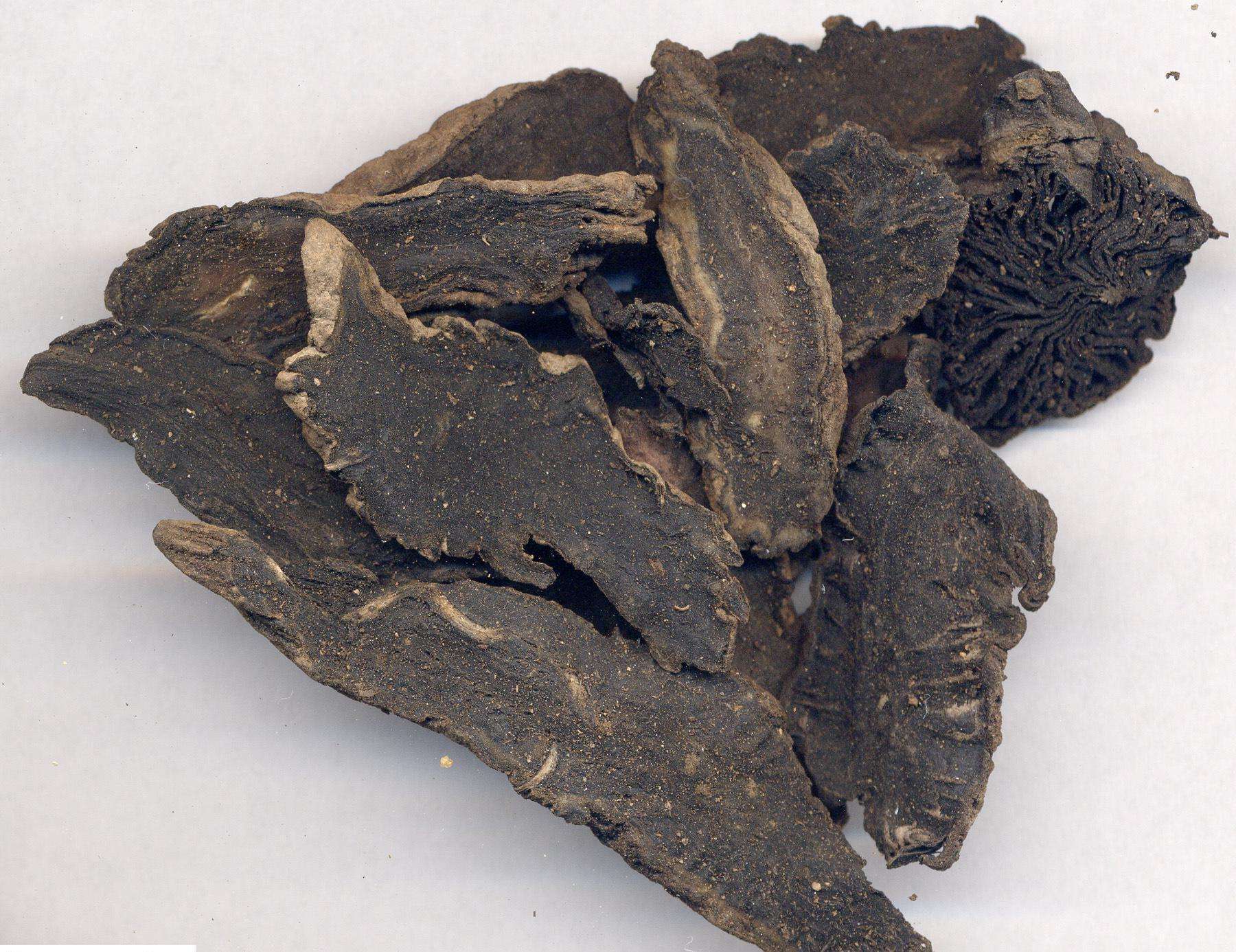 包邮玄参片500克中药材元参重台玄台黒参农产品其他药食同源食品