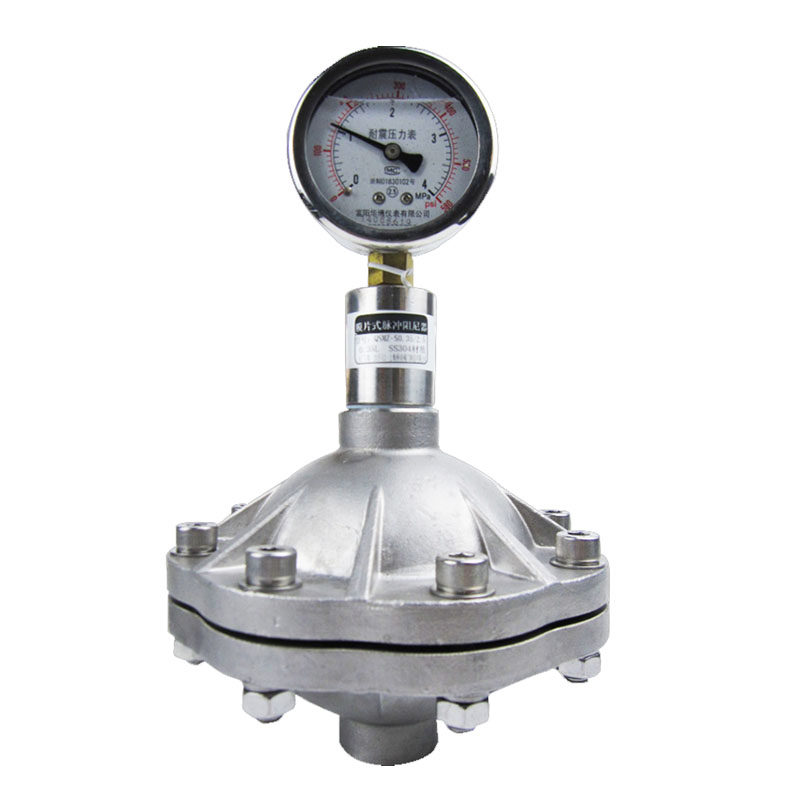 脉动缓冲器不锈钢膜片片式脉冲阻尼器带压力表丝扣其他阀门