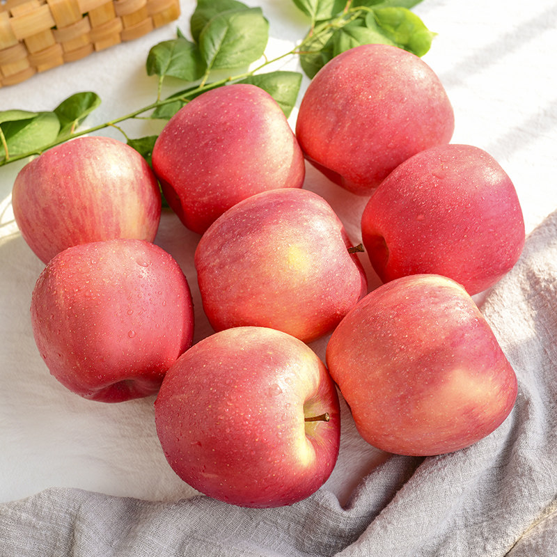 陕西苹果水果新鲜丑苹果整箱当季红富士10斤包邮冰糖大果现季 - 小憨