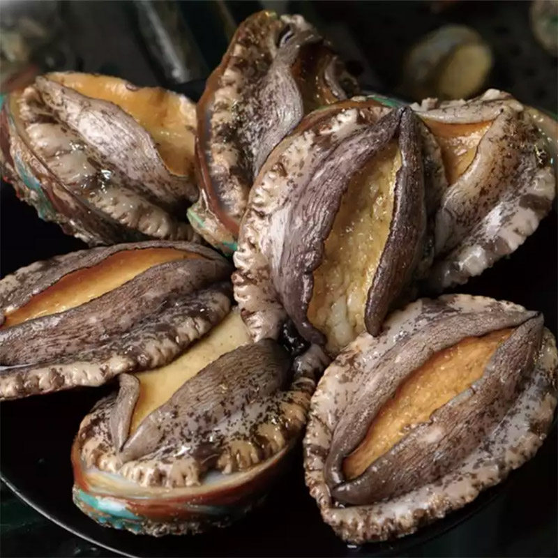 国产渤海野生海8头鲍鱼精品大个鲜活冷冻过节鲍鱼