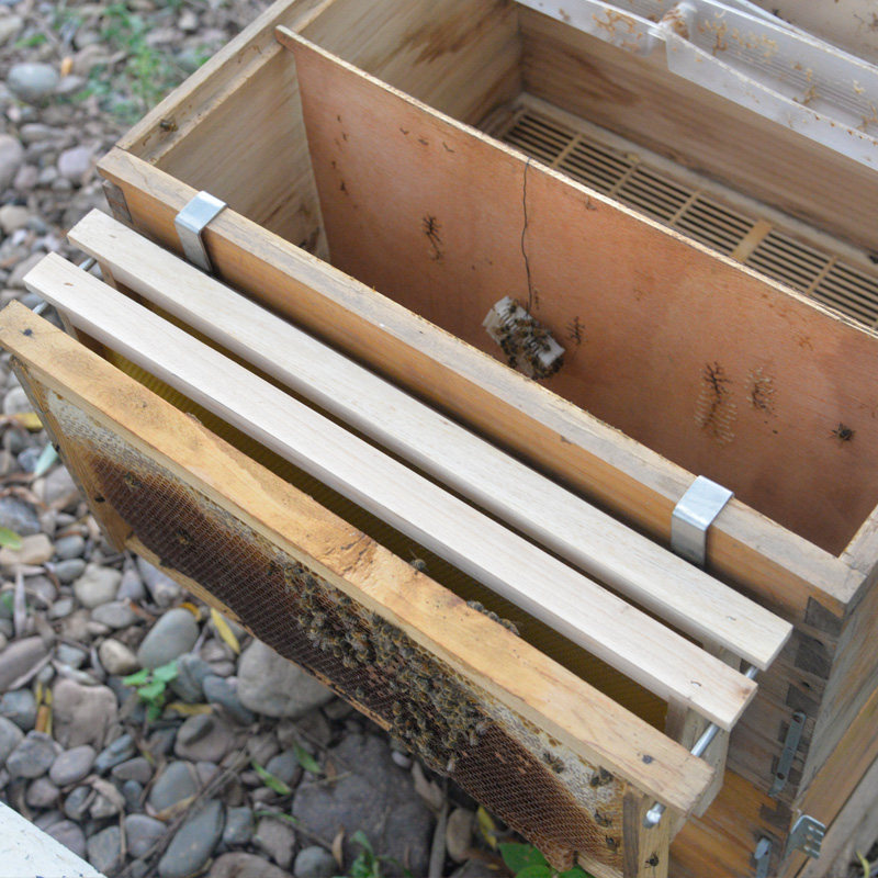 🐝不锈钢巢框搁置架蜂箱外支架方便放置巢框 养蜂工具蜂具新品专用