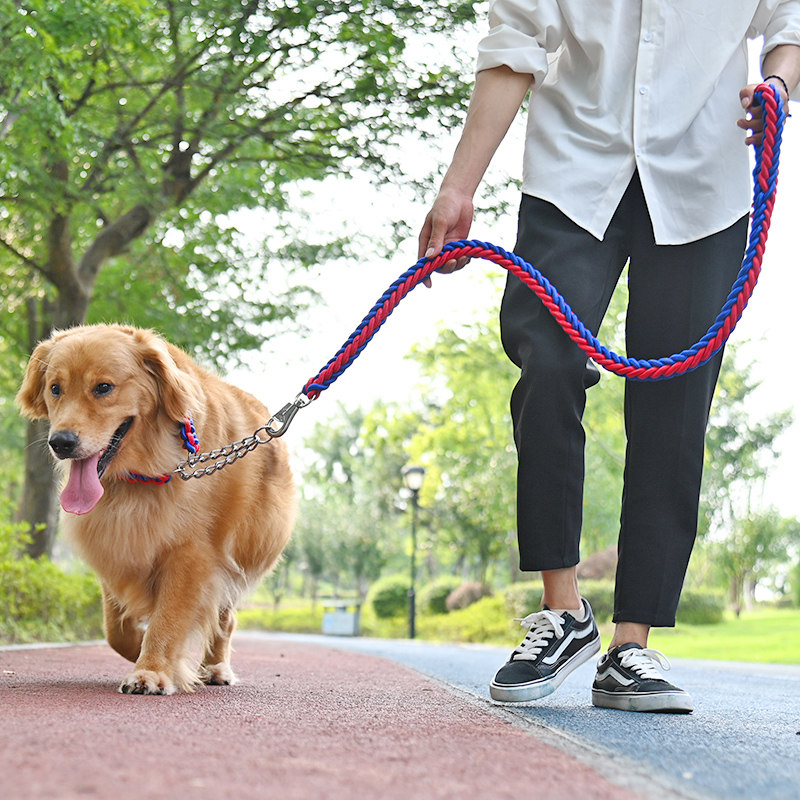 遛狗狗牵引绳自动调节p链项圈狗链子狗绳中型大型犬金毛拉布拉多