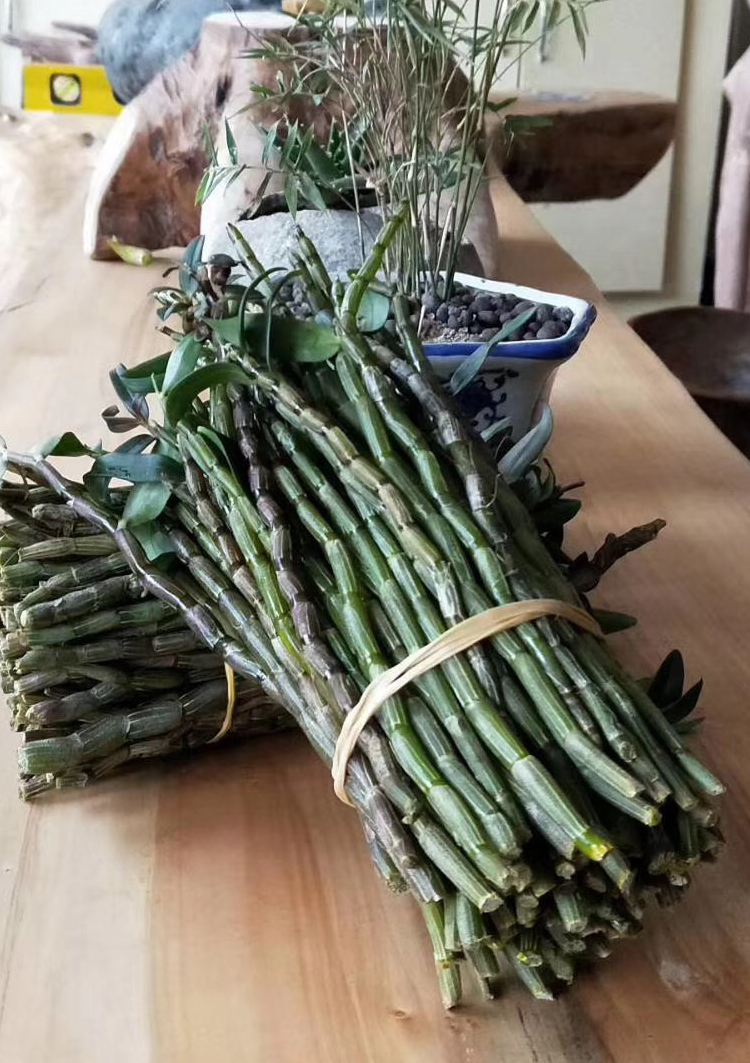 大别山霍山石斛鲜条500g安徽金寨六安土特产石斛