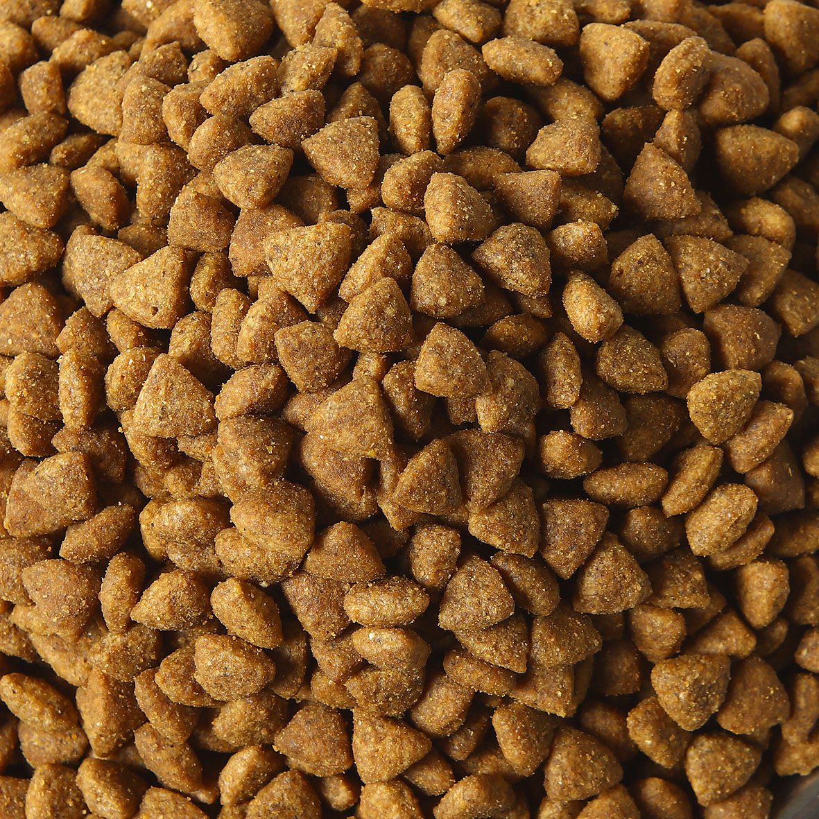 冠能成犬狗粮中型犬2.5kg法斗柯基边牧金毛松狮哈士奇犬粮