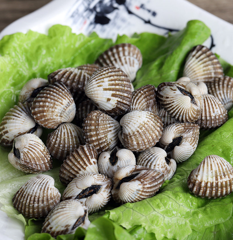 特产血蛤贝类水产海鲜血鲜活500克花蛤袋装温州贝类制品