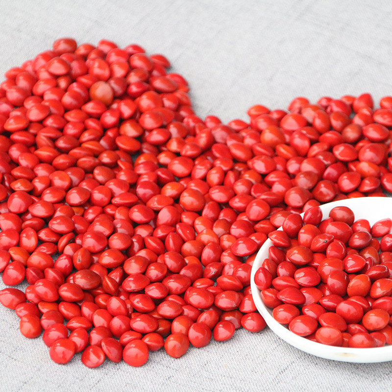 相思豆种子鄂西红豆盆栽绿植手串手链家庭园艺种子