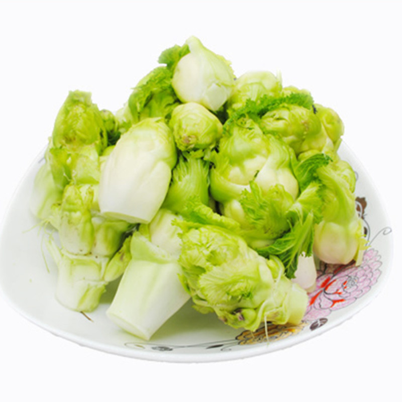 嫩脆儿菜种籽抱子芥菜宝宝菜多头菜抱儿菜可腌制泡菜耐寒蔬菜种孑