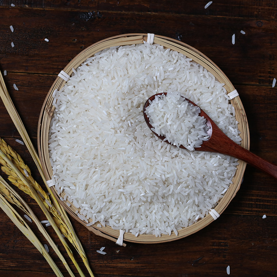 剑阁东宝大米广元特产优等贡米有机籼米人工大米