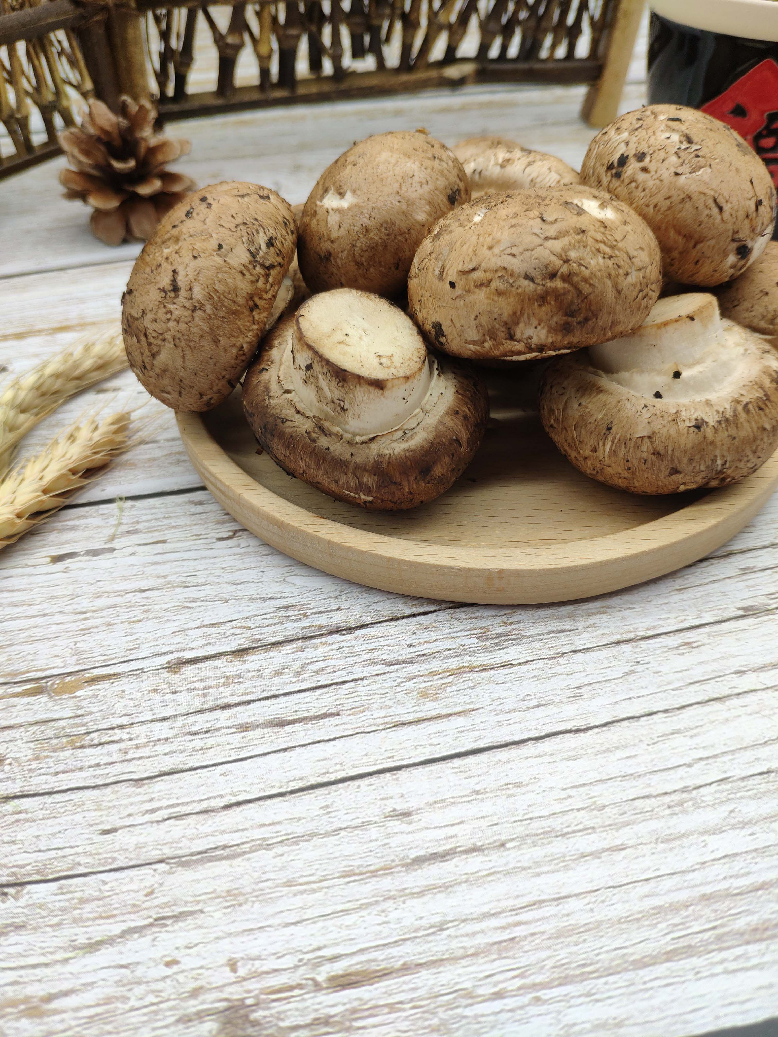 新鲜牛排小褐小啡食用食用菌菌类蘑菇香菇珍宝其它