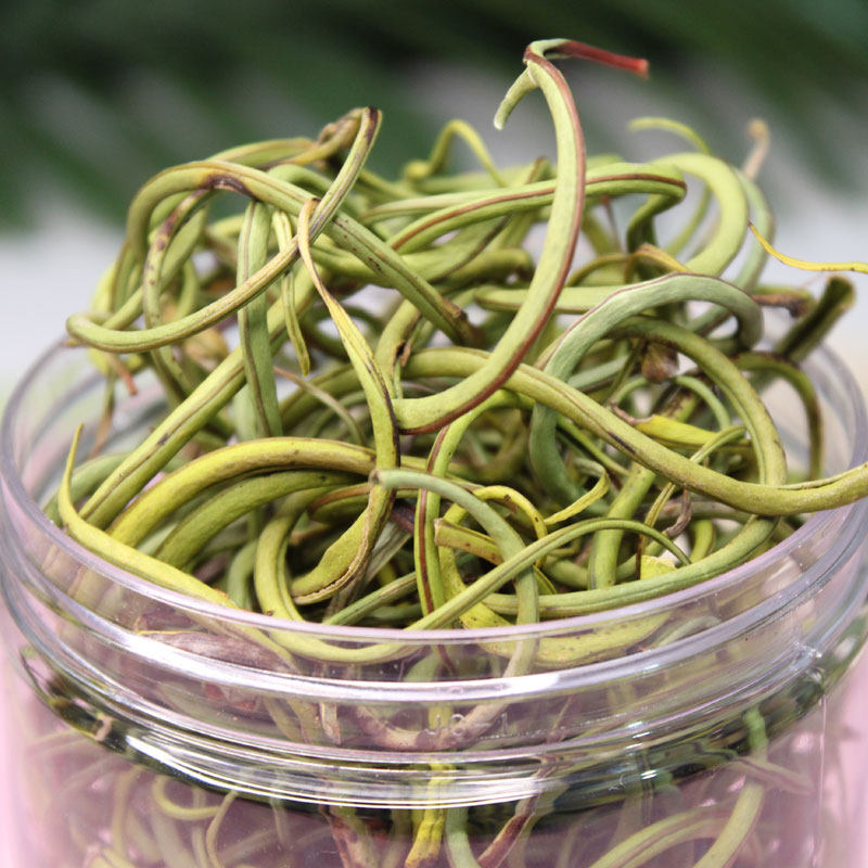 正宗肾精云南野生化石草肾茶猫须草中药材养生养生茶