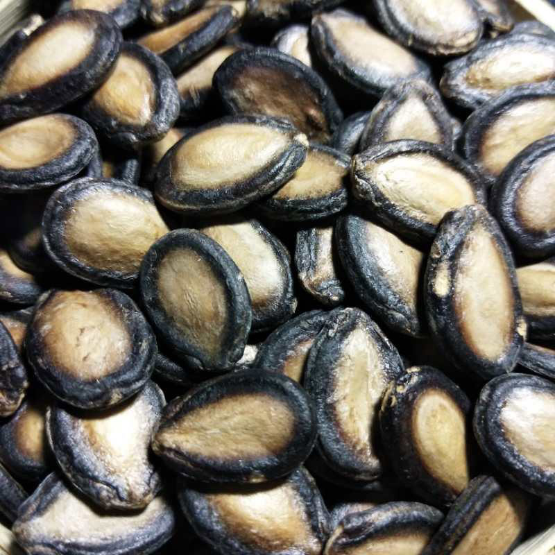 大片中片生黑西瓜子内蒙新货散装农家自种大板打瓜子5斤包邮