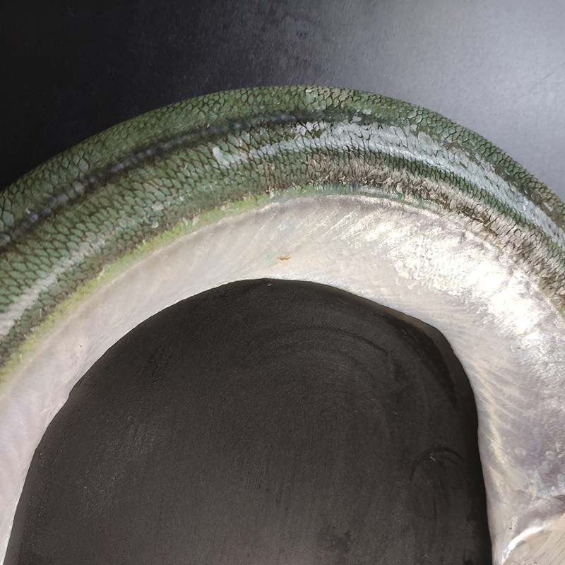 大连海鲜超大马步古董鲜活鹤嘴鱼双针大梁鱼鄂针黄鱼