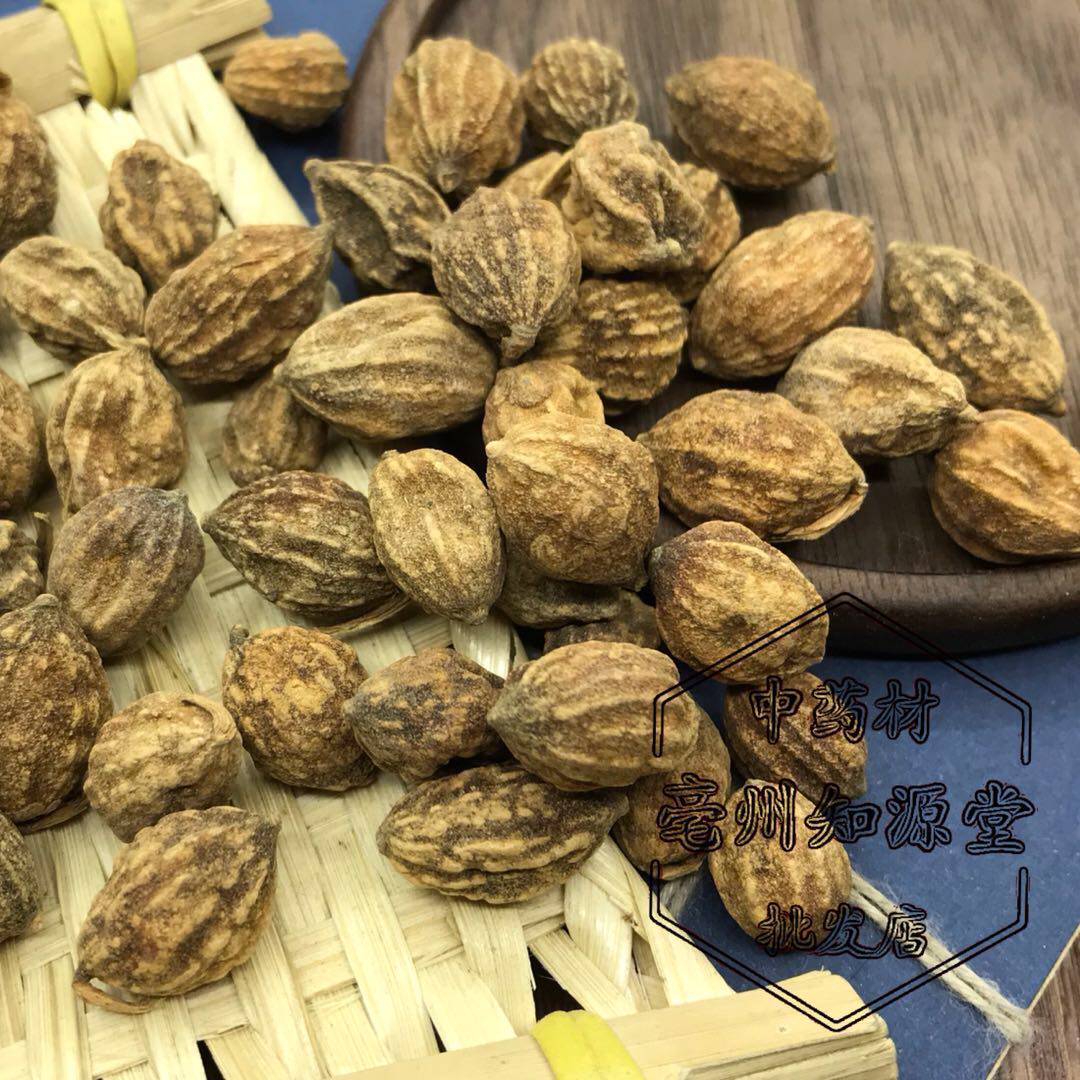 中药材益智仁500克 包邮 野生新货可配 伸筋草 舒筋草 透骨草