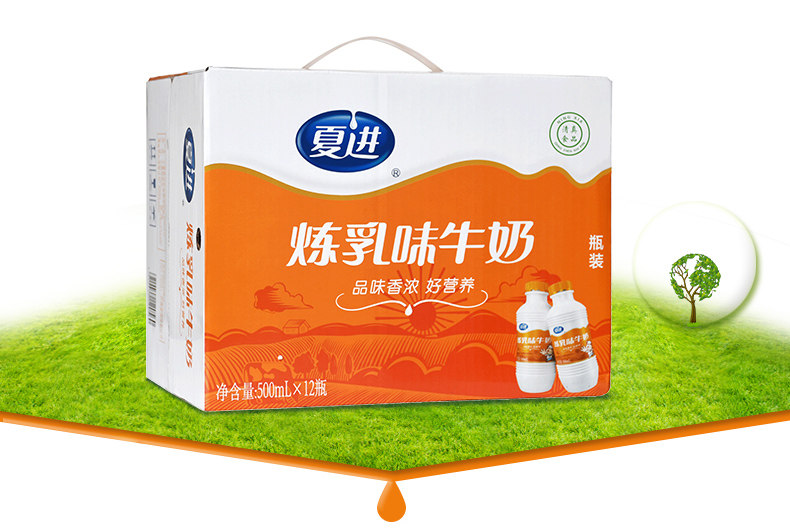 夏进炼乳牛奶整箱包装500mlx12学生儿童老人全脂纯牛奶