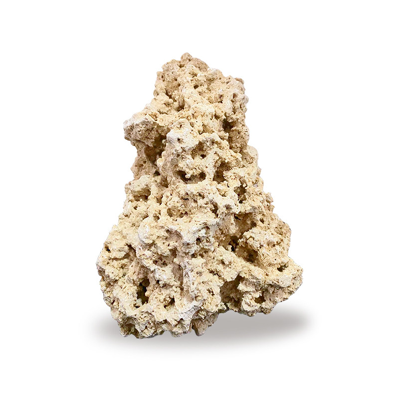 senhi森海礁岩印尼爪哇岛干岩石海缸造景石天然造景